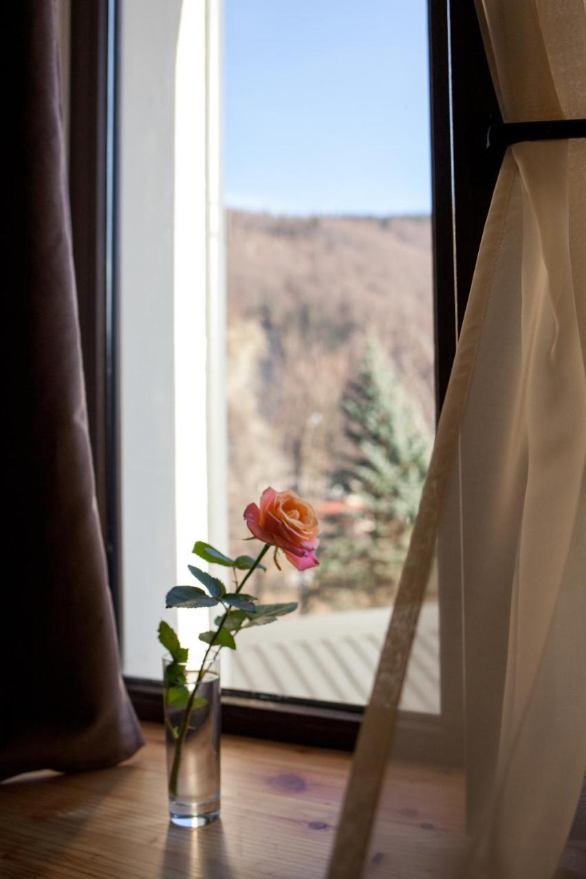 Baron Spa Hotel - Museum Γιαρέμτσε Εξωτερικό φωτογραφία